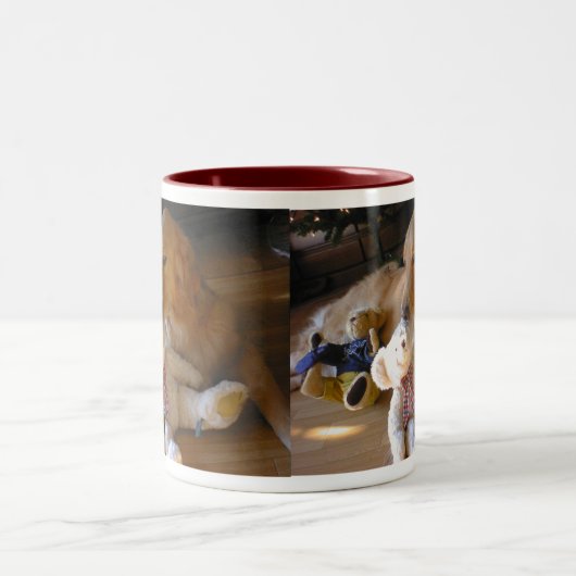 ゴールデンレトリーバー犬とテディーベア TWEEKLEURIGE KOFFIEMOK (Center)