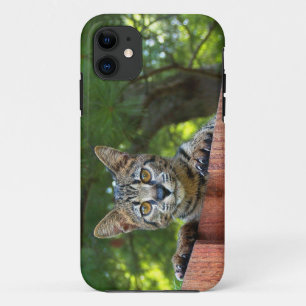 サ バ 5 の のン猫ナ穹 iPhone 11 HOESJE