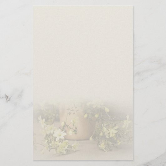 シックで上品なクレマチス・ペトリエイの便箋 BRIEFPAPIER (Voorkant)