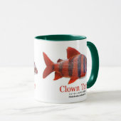 ショート・ノーズ・クラウン・テトラ MOK (Voorkant rechts)