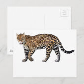ジャガー BRIEFKAART (Voorkant / Achterkant)