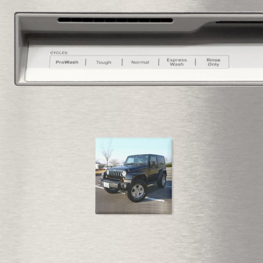 ジープ300 MAGNEET (Insitu (Vaatwasser))