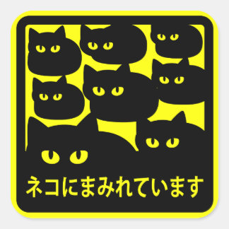 ステッカー　「ネコにまみれています」イエロー VIERKANTE STICKER