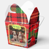 チェック柄がかわいいジャックラッセルテリアの子犬たちとクリスマス♡  BEDANKDOOSJES (Open)