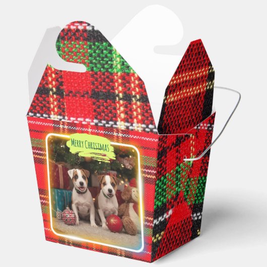 チェック柄がかわいいジャックラッセルテリアの子犬たちとクリスマス♡ BEDANKDOOSJES (Open)