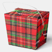 チェック柄がかわいいジャックラッセルテリアの子犬たちとクリスマス♡  BEDANKDOOSJES (Achterkant)