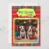 チェック柄がかわいいジャックラッセルテリアの子犬たちとクリスマス♡ FEESTDAGENKAART (Voorkant)