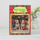 チェック柄がかわいいジャックラッセルテリアの子犬たちとクリスマス♡ FEESTDAGENKAART (Staand voorkant)