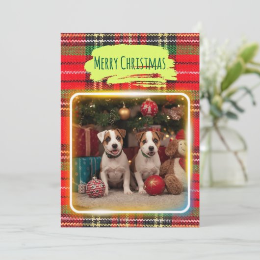 チェック柄がかわいいジャックラッセルテリアの子犬たちとクリスマス♡ FEESTDAGENKAART (Staand voorkant)