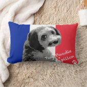 トイプードル×パピヨン KUSSEN (Deken)