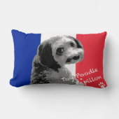 トイプードル×パピヨン KUSSEN (Voorkant)