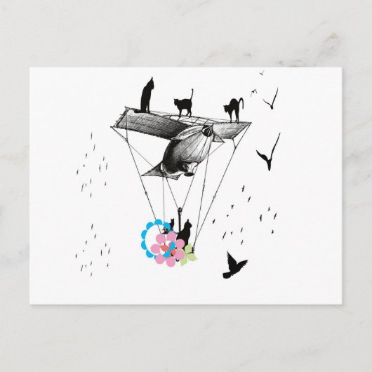 ネ コ 飛 行 機 BRIEFKAART (Voorkant)