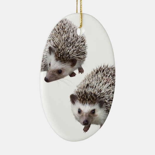 ハリネズミの優良製品 KERAMISCH ORNAMENT (Rechts)