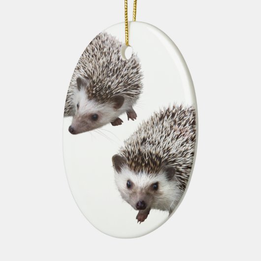 ハリネズミの優良製品 KERAMISCH ORNAMENT (Links)