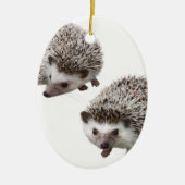 ハリネズミの優良製品 KERAMISCH ORNAMENT (Voorkant)