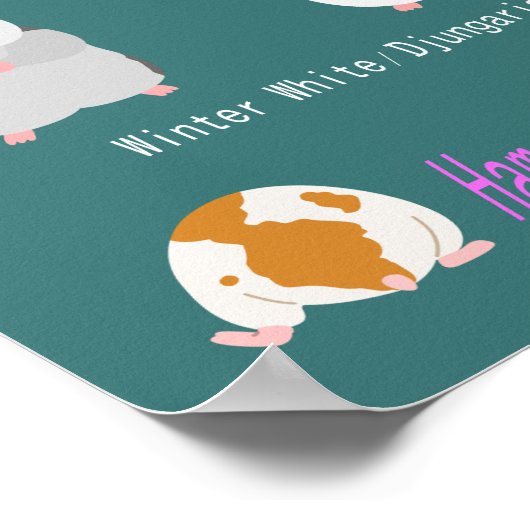 ハ ム タ ー の  ) POSTER (Hoek)