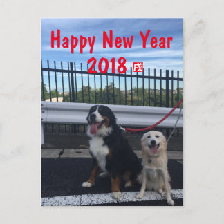 バーニーズマウンテンドッグとワイルドミックスドッグ　年賀状　2018年　戌年 FEESTDAGENKAART