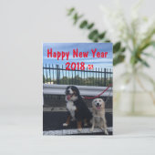 バーニーズマウンテンドッグとワイルドミックスドッグ　年賀状　2018年　戌年 FEESTDAGENKAART (Staand voorkant)