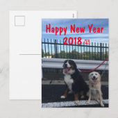 バーニーズマウンテンドッグとワイルドミックスドッグ　年賀状　2018年　戌年 FEESTDAGENKAART (Voorkant / Achterkant)