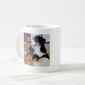 バーニーズマウンテンドッグ KOFFIEMOK (Voorkant links)