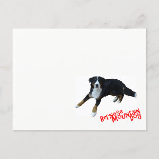 バ ー op ウ op het ニ ー op het ズ briefkaart