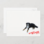 バ ー op ウ op het ニ ー op het ズ briefkaart (Voorkant / Achterkant)