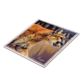 ピューマタ イル TEGELTJE