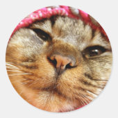 ピンク帽子のチャド RONDE STICKER (Voorkant)