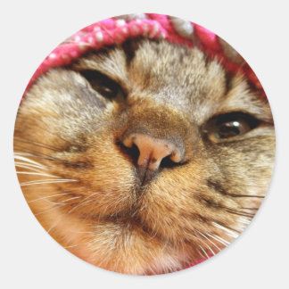 ピンク帽子のチャド RONDE STICKER