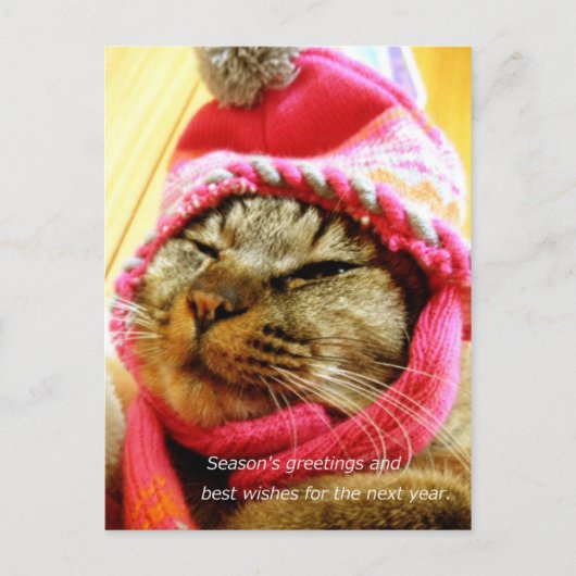 ピ チクnB子のB10000000000000000000000000000000000000000 Briefkaart (Voorkant)