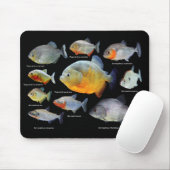 ピ ラ ア の 製 品 MUISMAT (Met muis)