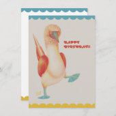 フラットカード バースデー Birthday Card -Blue-footed Boody- (Voorkant / Achterkant)