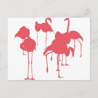 フ ラ ン ゴ BRIEFKAART