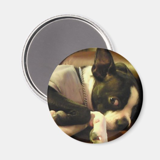 ブチ　マグネット　丸 MAGNEET (Voorkant / Achterkant)