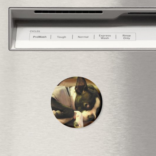 ブチ　マグネット　丸 MAGNEET (Insitu (Vaatwasser))