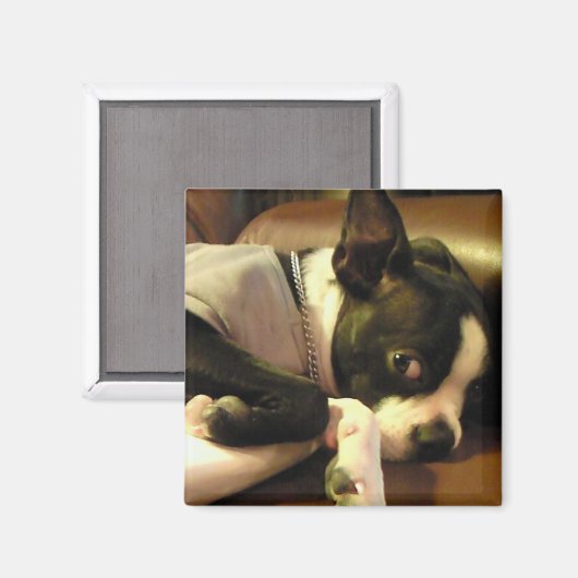 ブチ　マグネット　角 MAGNEET (Voorkant / Achterkant)