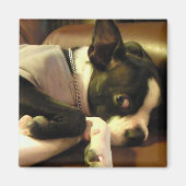 ブチ マグネット 角 MAGNEET (Voorkant)