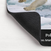 ホッキョクグマ MUISMAT (Hoek)