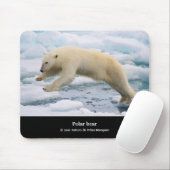 ホッキョクグマ MUISMAT (Met muis)