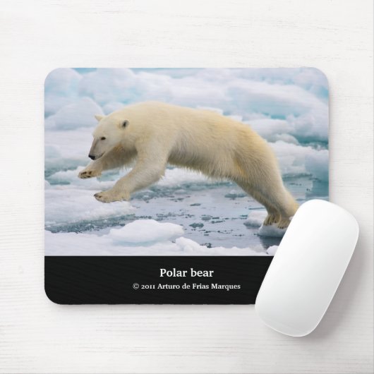 ホッキョクグマ MUISMAT (Met muis)