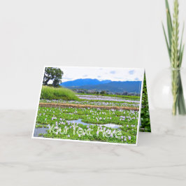 ホテイアオイ（花） カード KAART