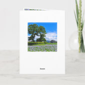 ホテイアオイ KAART (Achterkant)