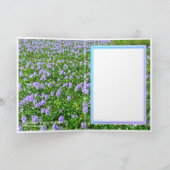 ホテイアオイ KAART (Binnen)