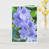 ホテイアオイ KAART (Gele Bloem)