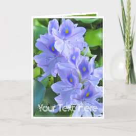 ホテイアオイ KAART