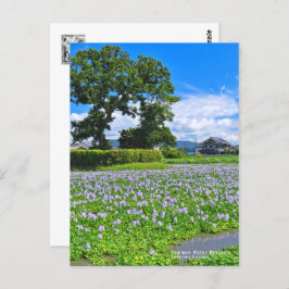 ホ イ オ イ(花) ア  BRIEFKAART