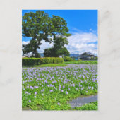 ホ イ オ イ(花) ア  BRIEFKAART (Voorkant)