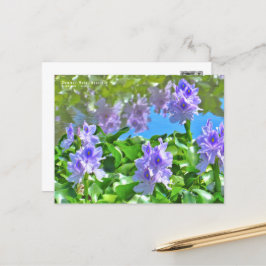 ホ イ オ イ(花) ア  BRIEFKAART