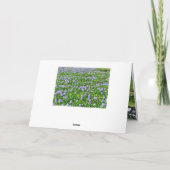 ホ イ オ イ(花) ア  KAART (Achterkant)