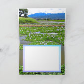 ホ イ オ イ(花) ア  KAART (Binnen)